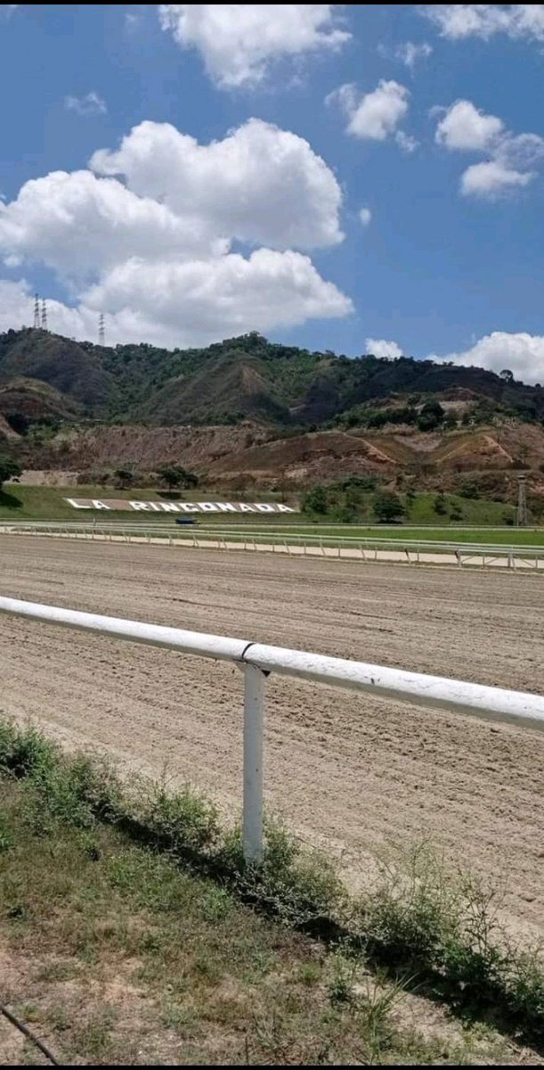 LiderKenny's tweet photo. #Hipismo 🚨ATENCIÓN🚨

Toda nuestra asesoria VIP desde mañana hasta el domingo será totalmente gratis solo deben hacer dos cosas darle (RT) a esta publicación y entrar en este link donde recibirán toda la información. ⬇️👇⬇️

https://t.co/D9lUaeKPEd

#LaRinconada
#GulfstreamPark https://t.co/u1nntm2c46