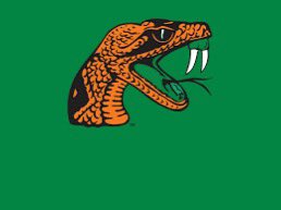 I will be at Florida A&amp;M on 3/28!!🧡💚<a href="/CoachTJones89/">Coach T Jones</a> <a href="/CoachJG239/">Joseph</a> <a href="/ChadSimmons_/">ChadSimmons</a> <a href="/SlimeyBoyz7v7/">Slimey Boyz🤮💚</a>