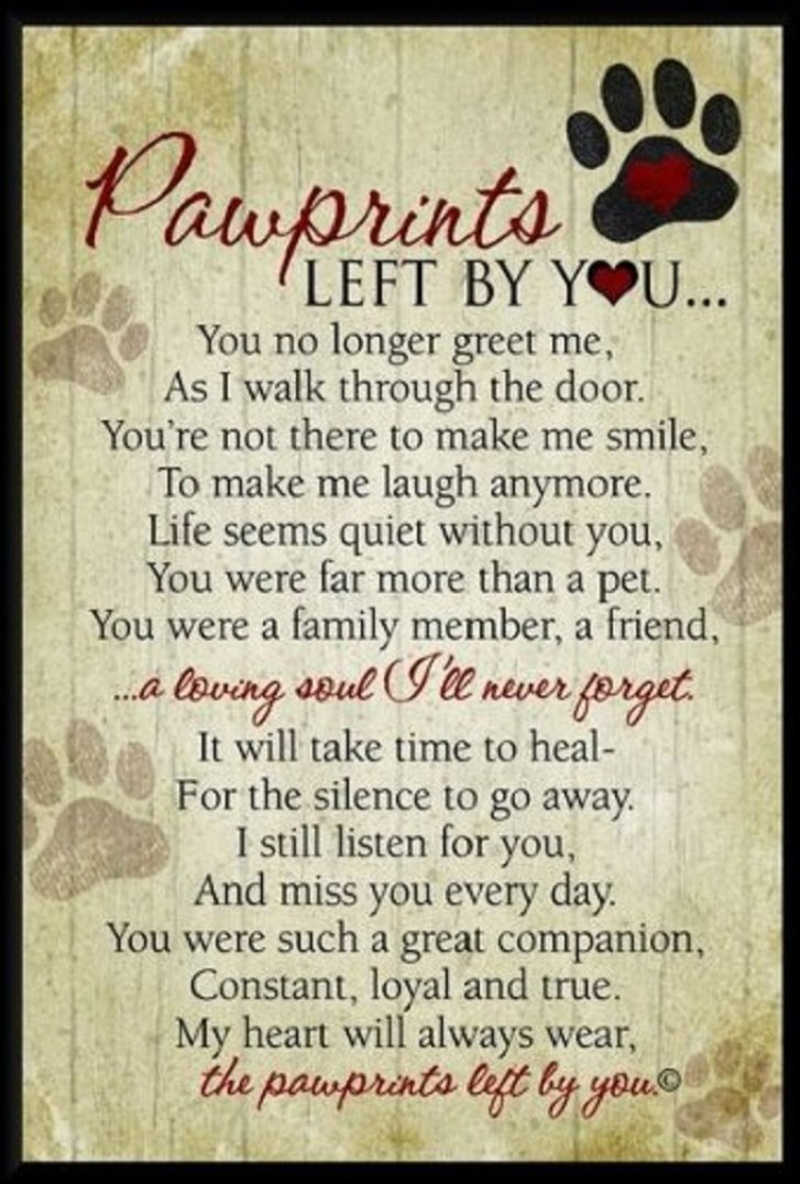 rn_ashlee's tweet photo. @jessyroos I'm so sorry 💔 https://t.co/BWdd6bs2bv