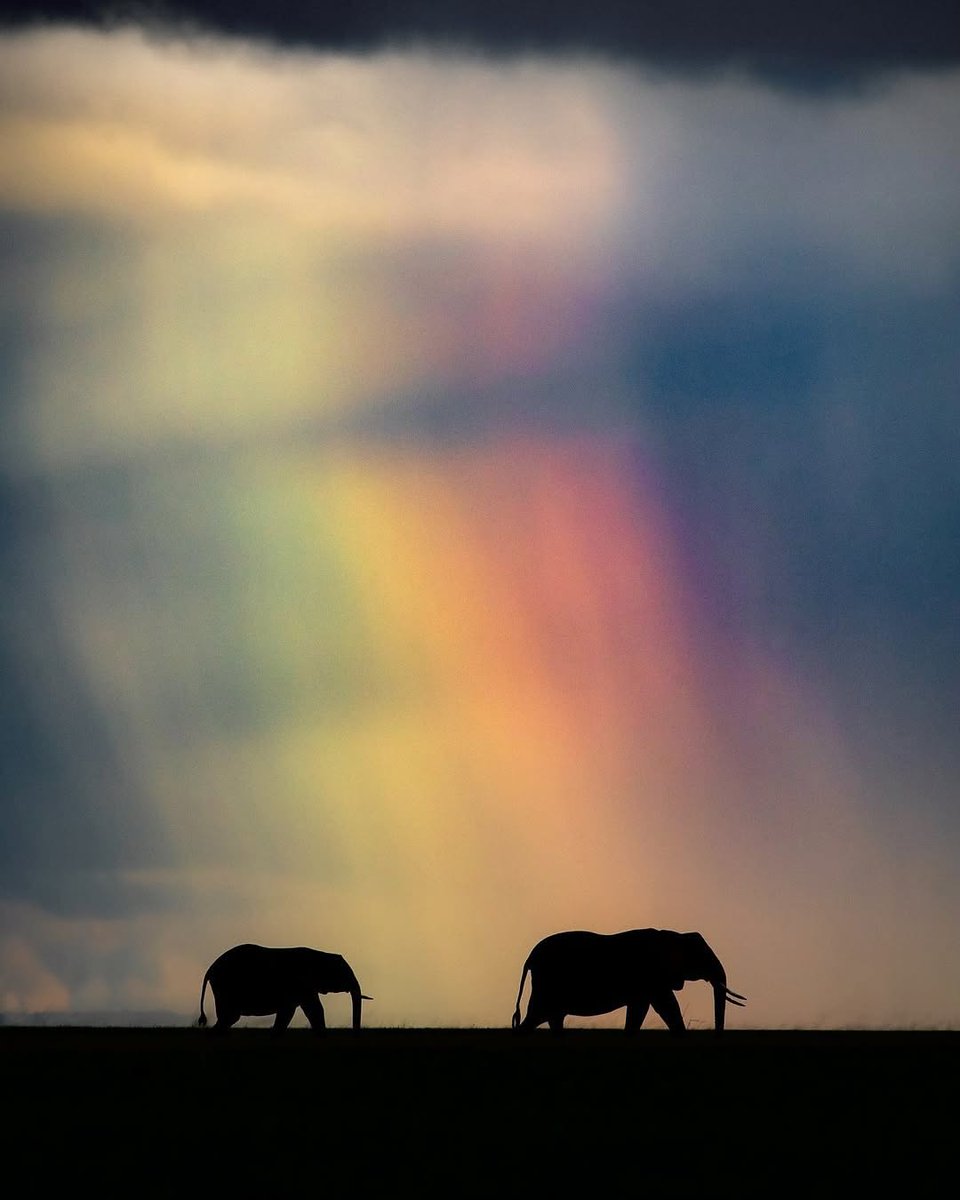 Ethereal cloud formation in Amboseli NP, Kenya 🇰🇪