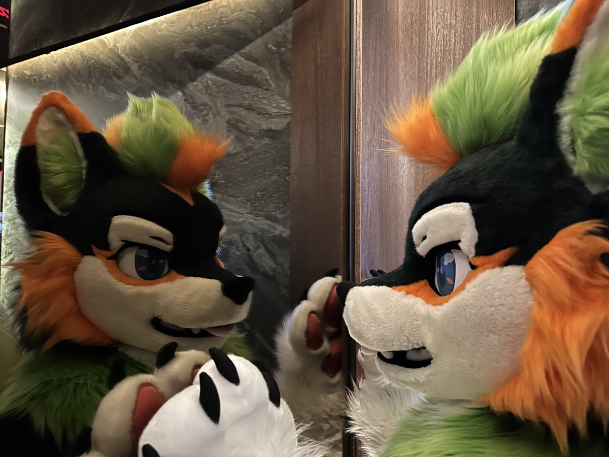 有兩個森丸

#FursuitsFriday