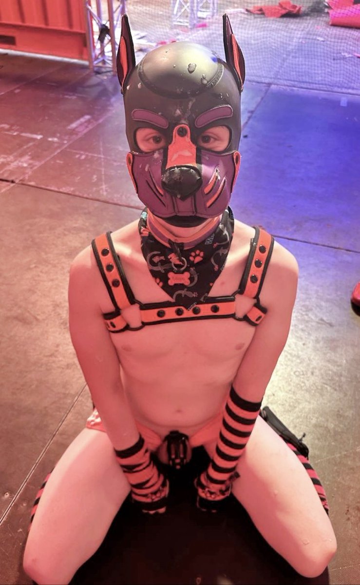 Pup Steps 🔜 LVFC tweet media