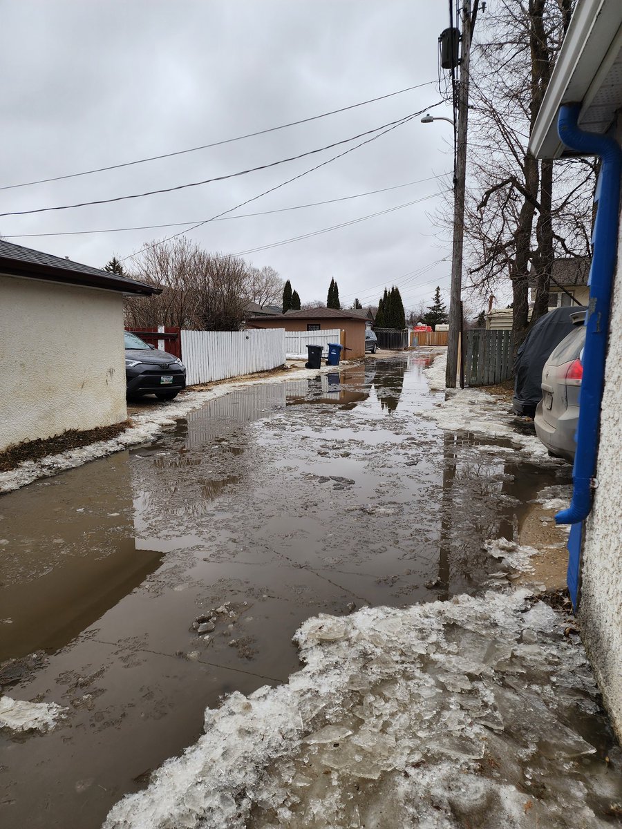 Hey <a href="/cityofwinnipeg/">City of Winnipeg</a> and <a href="/ScottGillingham/">Mayor Scott Gillingham</a> we have called 311 eleven times to please come and help us drain our own Lake Winnipeg the back lane of Primrose and Teakwood. It is creeping up our drive ways and back yards