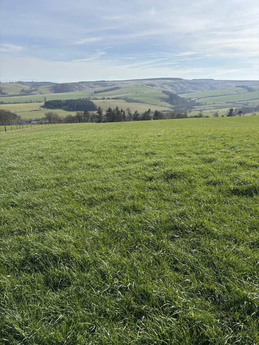 Windshiel farm tweet media