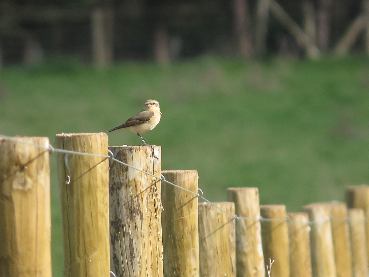 Jason Kernohan tweet media