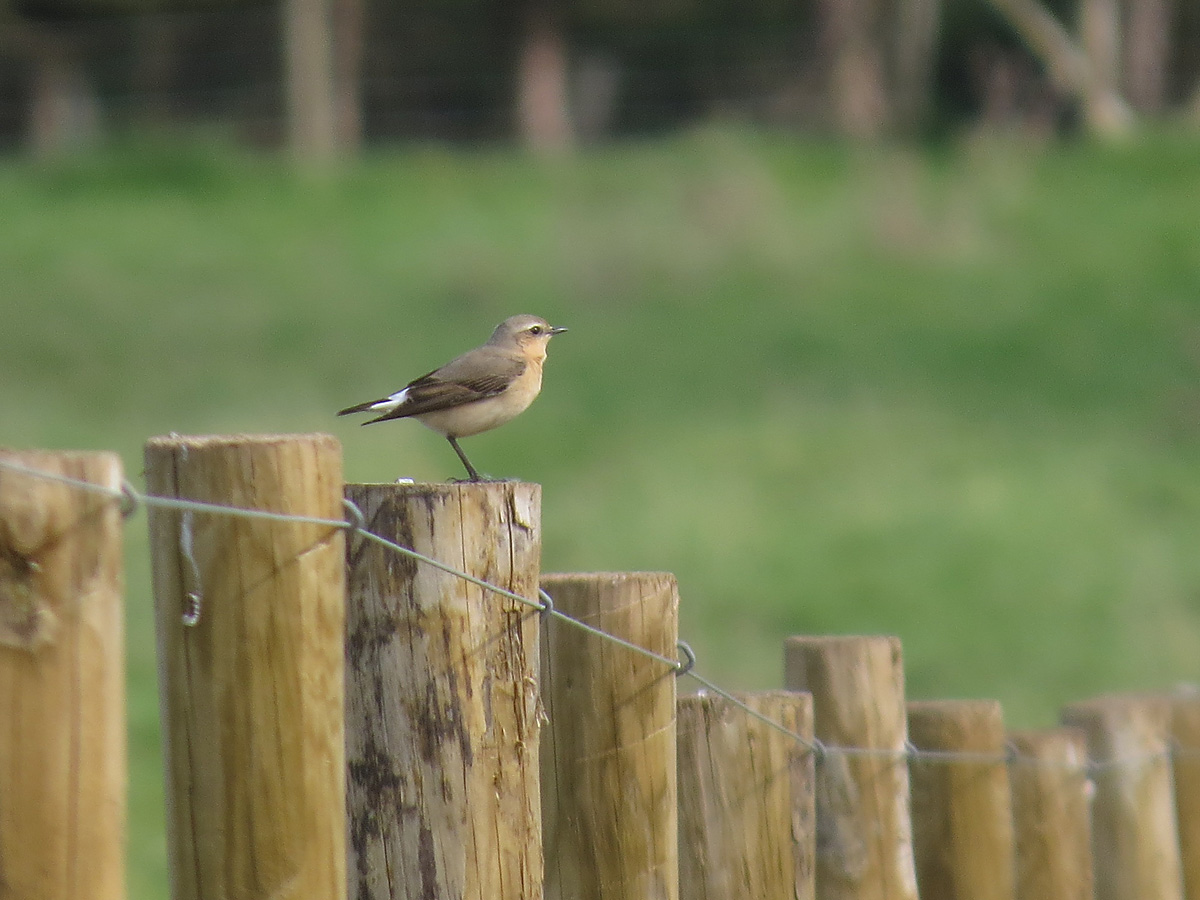 Jason Kernohan tweet media