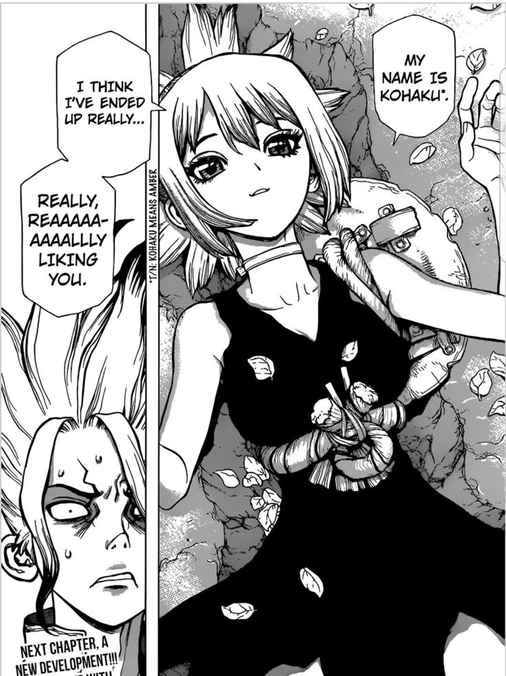 C0NF0RTSENGEN's tweet image. Senku and girls vs senku and Gen