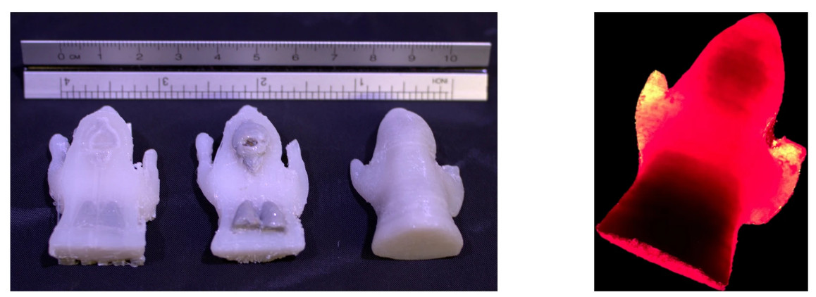 FangQ's tweet image. 📢📢📢New paper alert
came out last week on #ScientificReports
nature.com/articles/s4159…
You can direct 3D print optical phantoms of complex shapes with tissue-like absorption and scattering using only off-the-shelf printers and PLA filaments.
here are some phantom samples