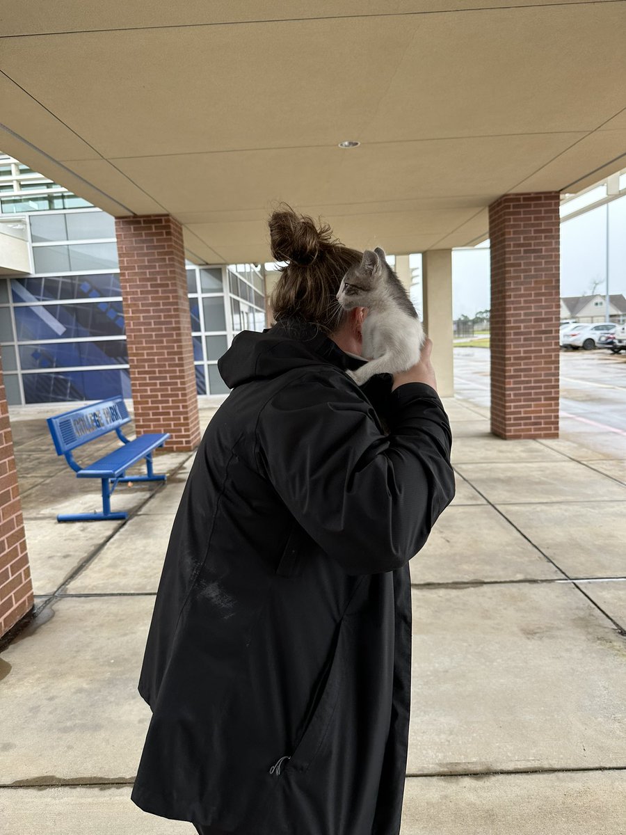 File this under other duties as assigned…
After a free ride from Walmart this very vocal car rider cat, “Strawberry”, is now safely at DP Animal Shelter.