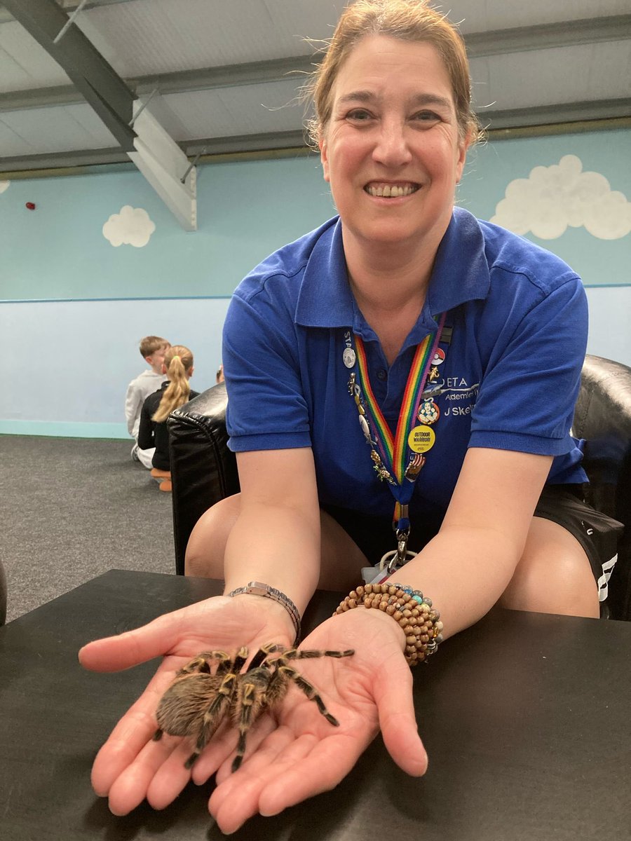 Macaulay Primary tweet media