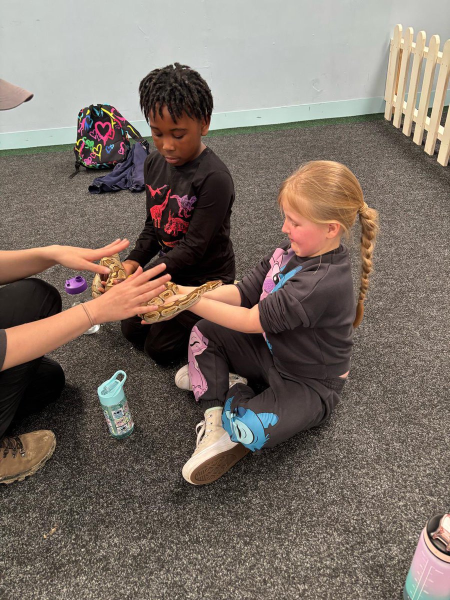 Macaulay Primary tweet media