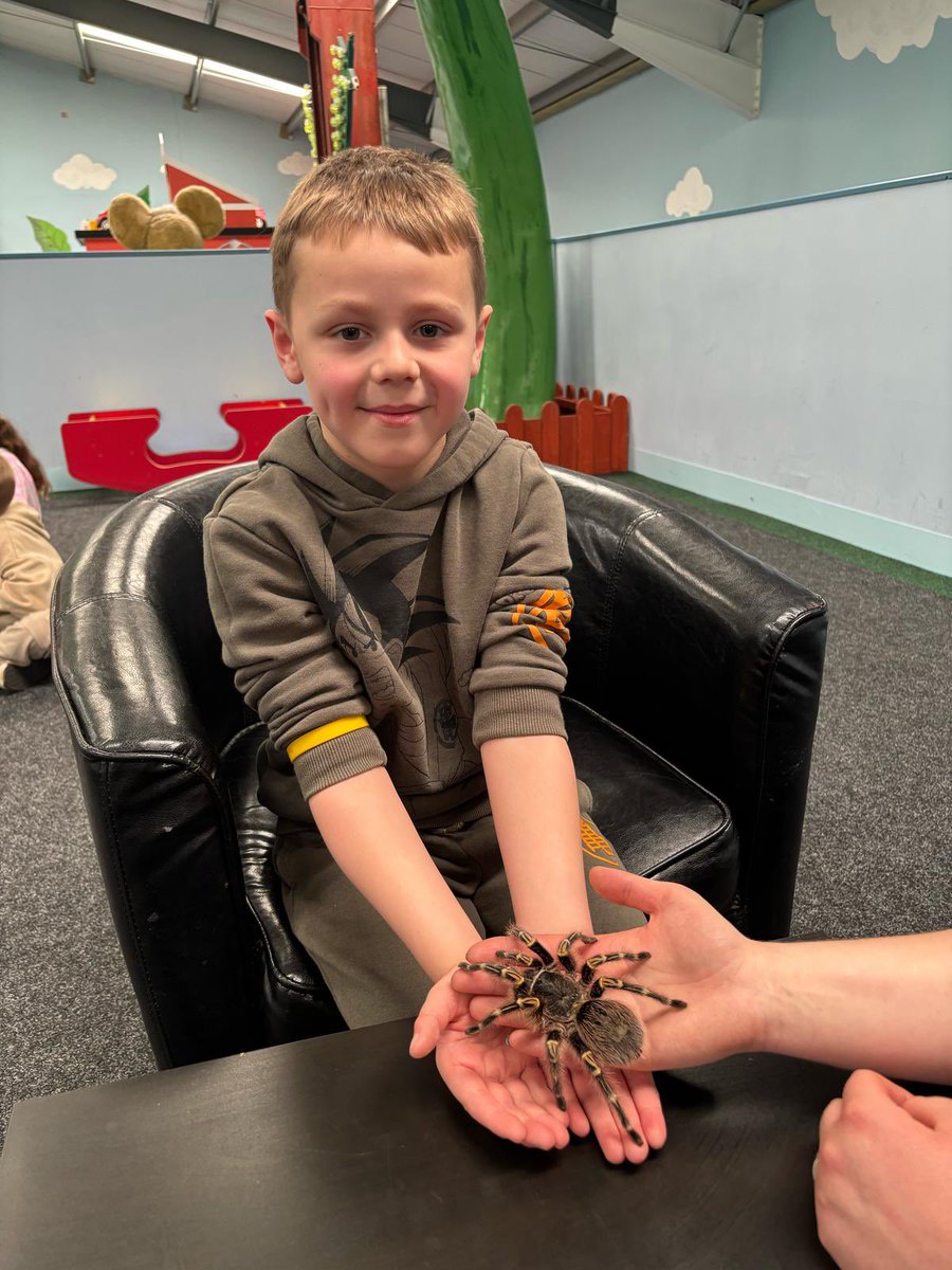 Macaulay Primary tweet media