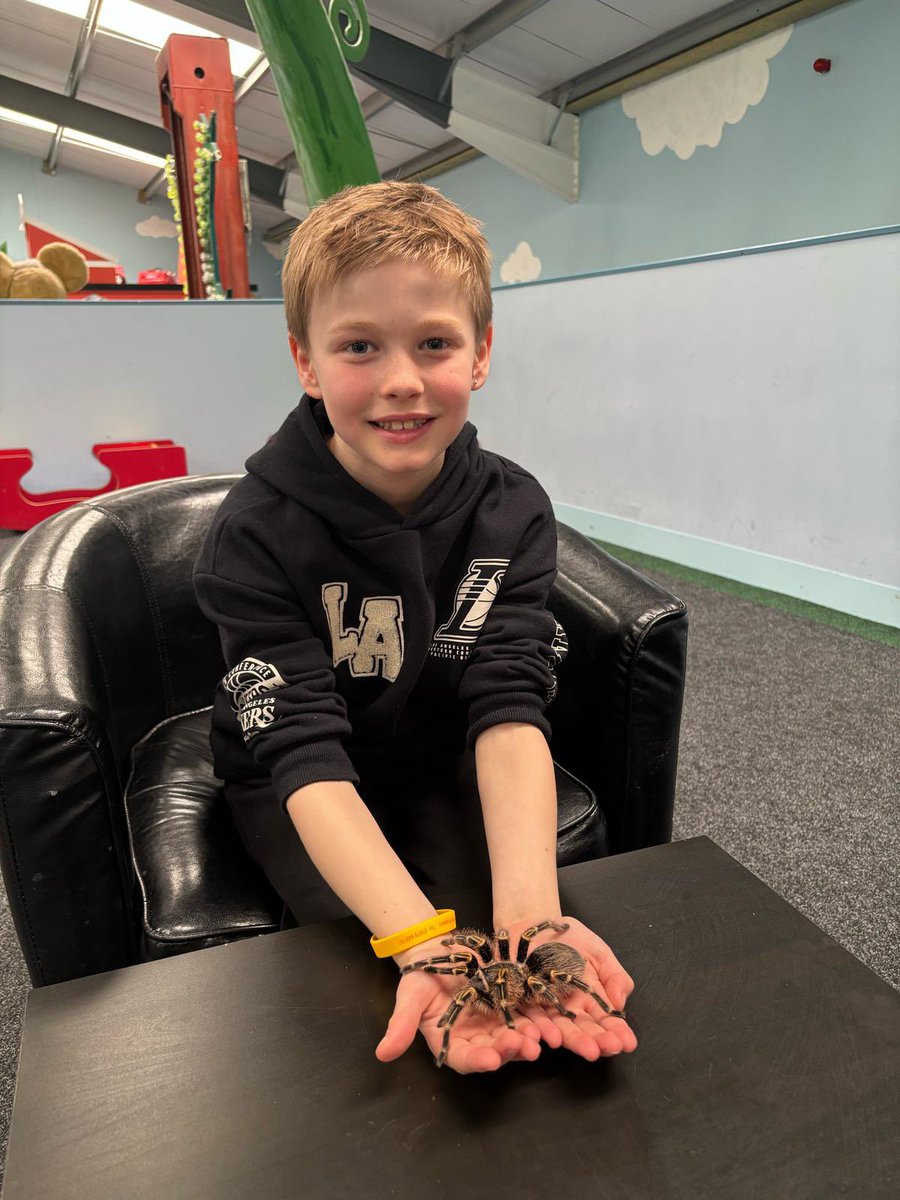 Macaulay Primary tweet media