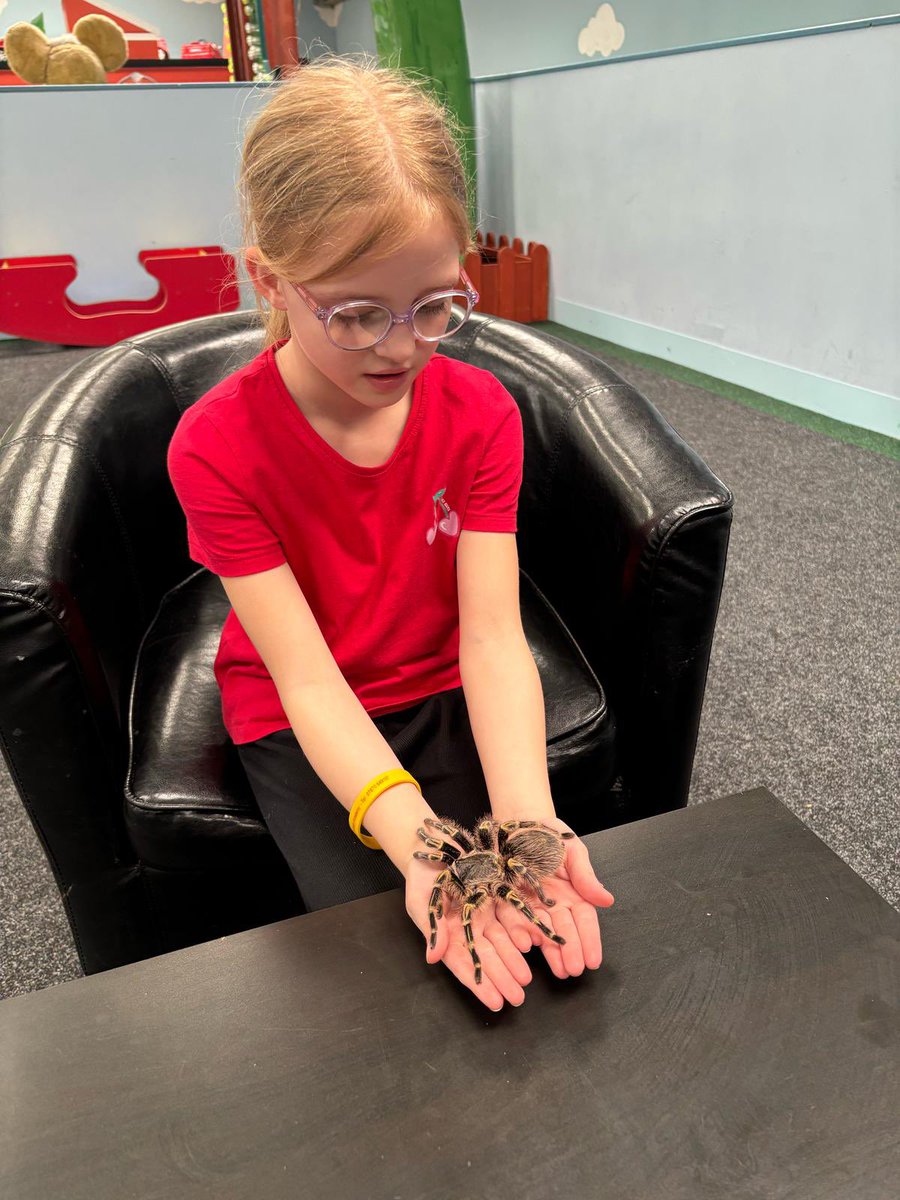 Macaulay Primary tweet media