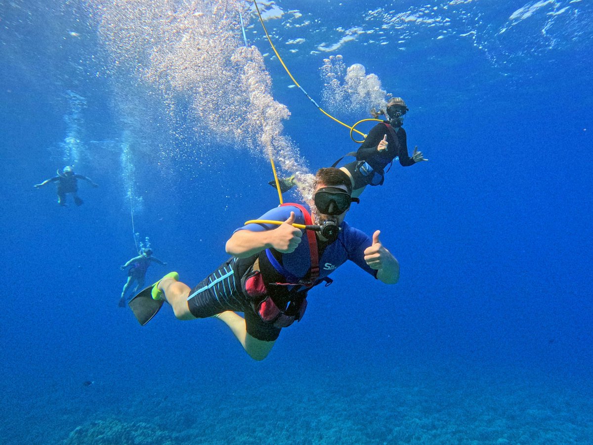 prideofmaui's tweet image. Snorkel or SNUBA, which would you choose? #snorkel #underthesea #snuba #underwater #mauithingstodo #maui #mauihi #prideofmaui