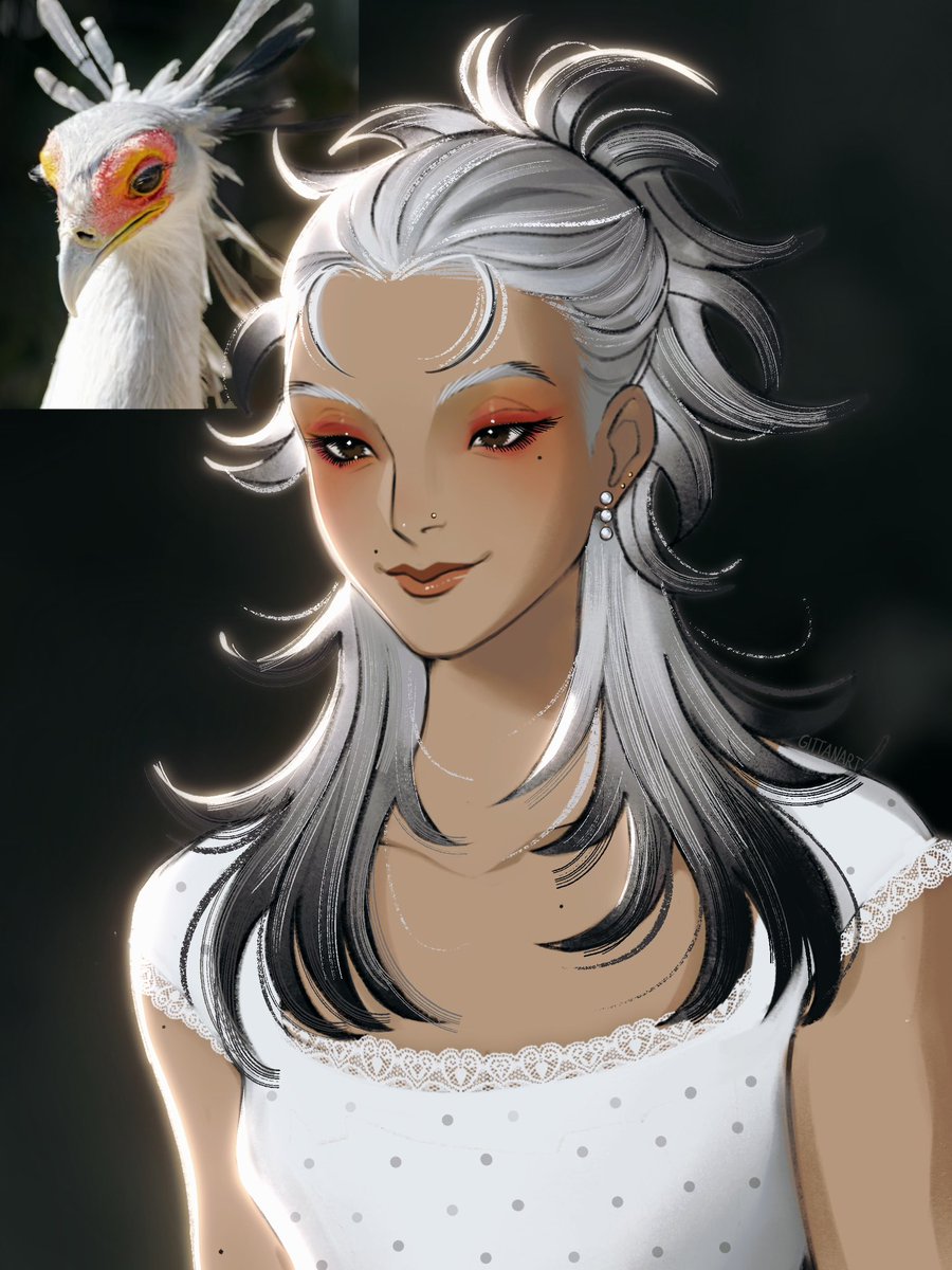 gittanart's tweet image. secretary bird