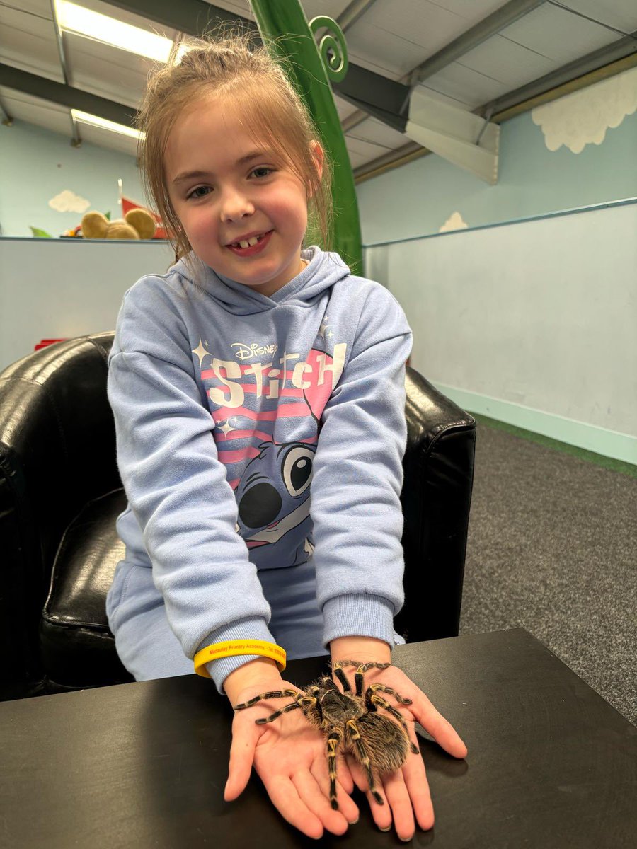 Macaulay Primary tweet media