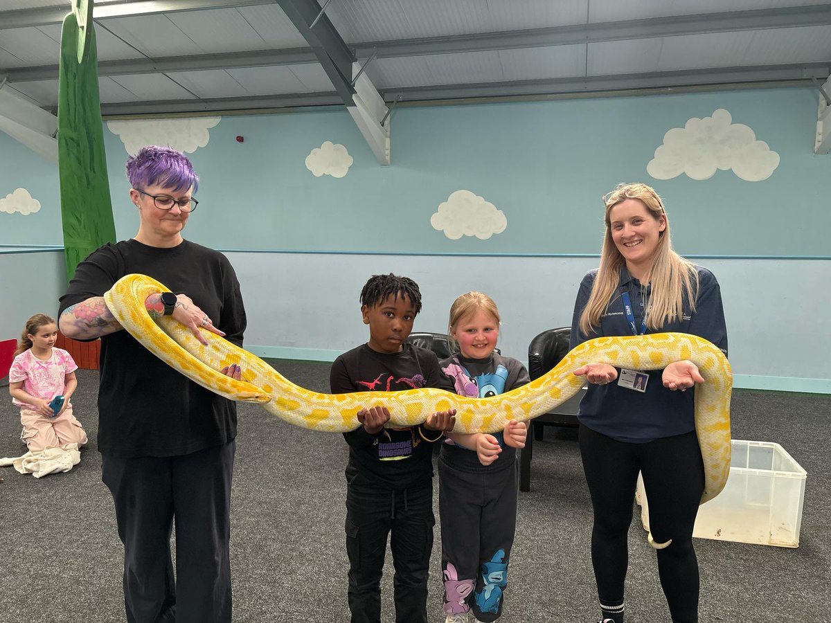 Macaulay Primary tweet media