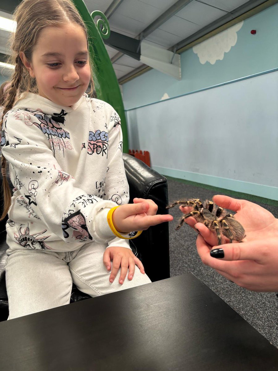 Macaulay Primary tweet media