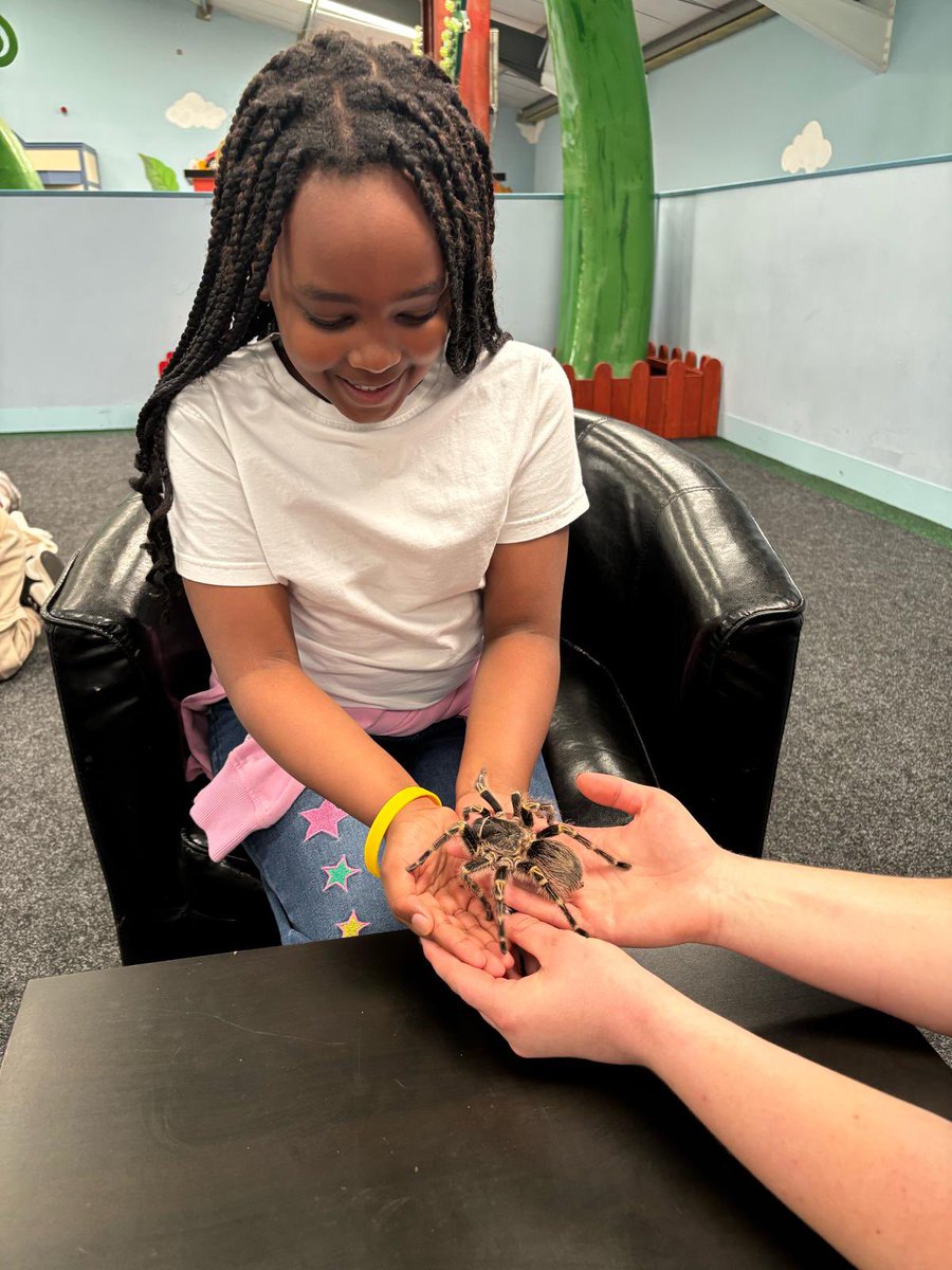 Macaulay Primary tweet media