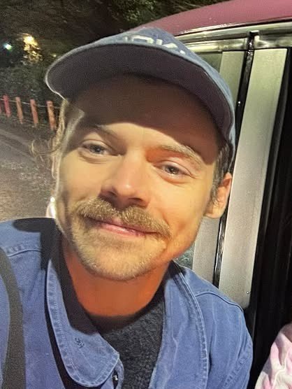 muitos te odeiam, mas eu te amo, bigode loirinho do Harry 🫵🏻😭🤏🏻💖