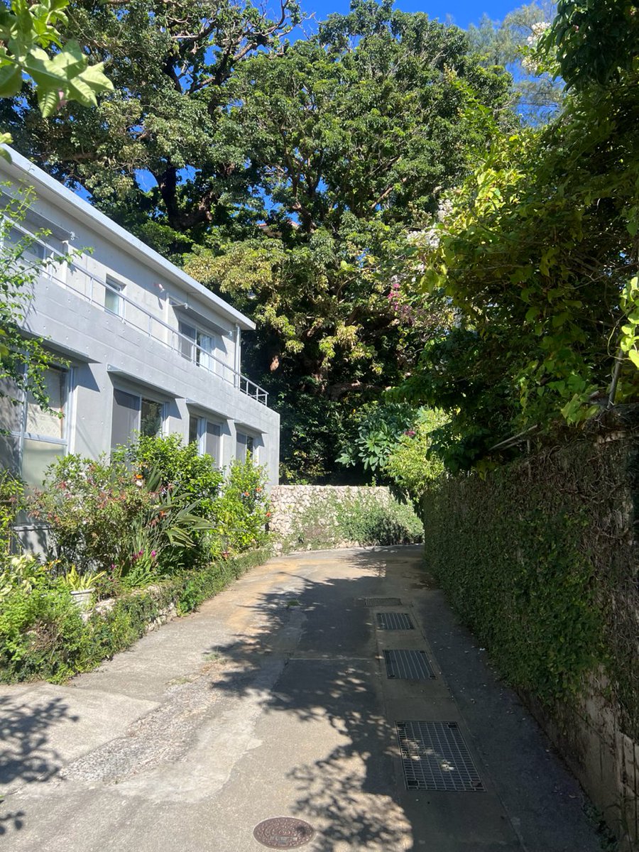naokinish's tweet photo. セカンドハウス共同利用プラットフォーム #Symturns を活用して那覇の首里金城町で空き家をリノベーションして二拠点居住施設にしていきます!
物件近くの首里の森と石畳。景観も眺望もよくスピリチュアルな雰囲気も漂う素敵な場所です。投資家さんから改装資金を集めるスキームで共創していきます! https://t.co/7h2QxWIodw