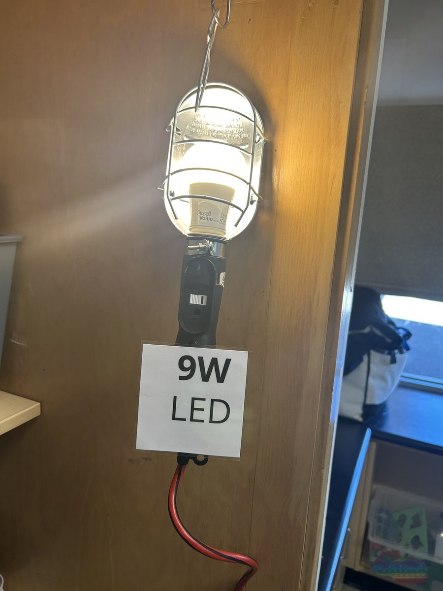 Miss Figueiredo tweet media