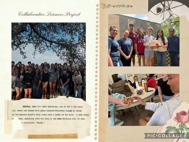 L.D. Bell IB Physics (@ldbellibphysics) on Twitter photo Taking a walk on the wild side! 🌿 IB Sciences showcased the hide boxes they created for the wildlife ambassadors at the Fort Worth Nature Center & Refuge, enhancing habitats and enriching lives. 🐍🐢#IBnLDBELLib <a href="/RandyBelcherBHS/">Randy D Belcher</a> <a href="/IB_LDBell/">LD Bell IB</a> Taking a walk on the wild side! 🌿 IB Sciences showcased the hide boxes they created for the wildlife ambassadors at the Fort Worth Nature Center & Refuge, enhancing habitats and enriching lives. 🐍🐢#IBnLDBELLib <a href="/RandyBelcherBHS/">Randy D Belcher</a> <a href="/IB_LDBell/">LD Bell IB</a>
