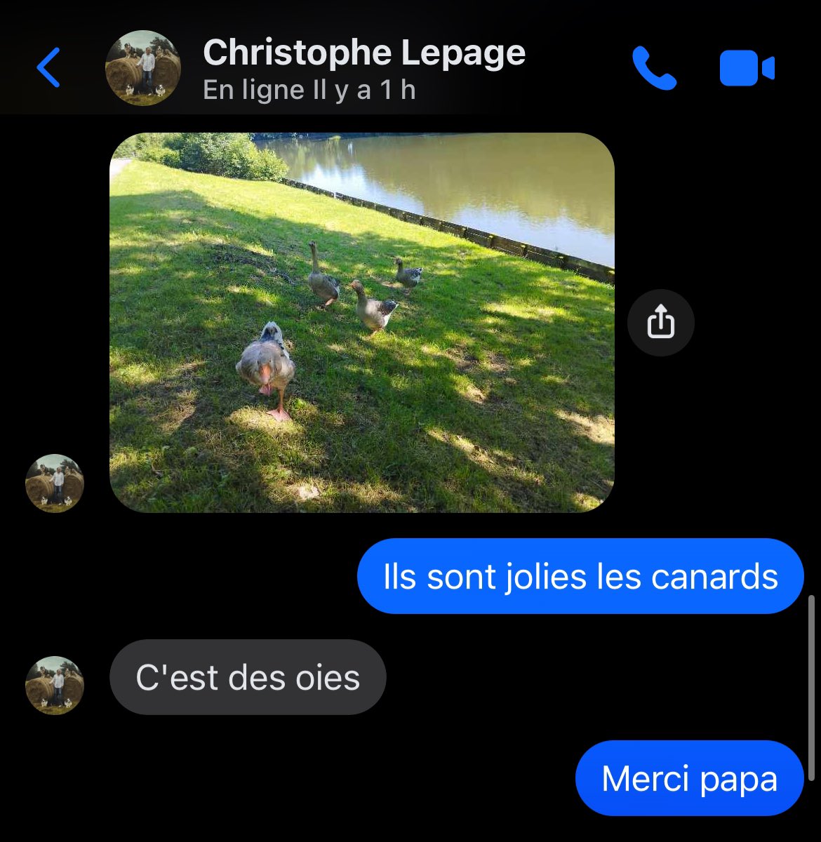 Le_DiviN_CHauV's tweet photo. Éteint par le daron https://t.co/qUWxgOBGDP