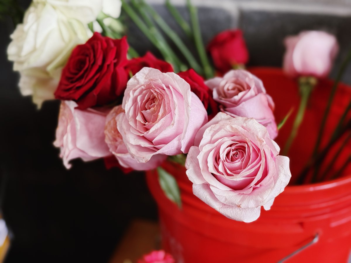 Our ribbon-cutting ceremony at Adorkable Flowers &amp; Gifts was a huge success, and we’re so thankful to everyone who came out to celebrate with us.
💐Here’s to blooming success!
#ValleyChamber