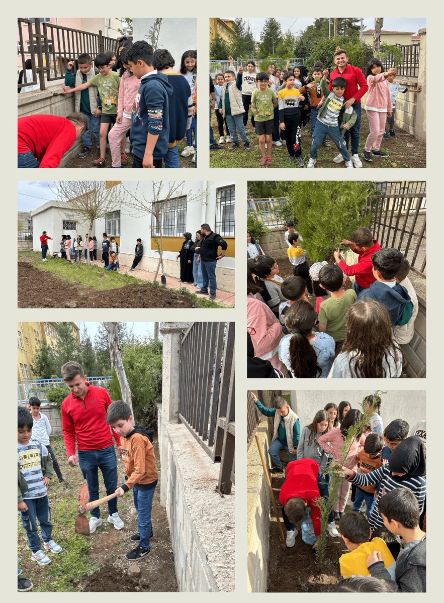 Koordinatörlüğünü merkez müdürümüz İsmail ASLAN’ın, danışmanlığını ise öğretmenimiz Nurullah KILIÇ’ın üstlendiği "Geleceği Yeşert"projesi kapsamında ağaç bakımı yapıyor ve yeni fidanlar dikiyoruz. <a href="/BirolEkici73/">Birol Ekici</a> <a href="/sirnakmem73/">Şırnak İl Millî Eğitim Müdürlüğü</a> <a href="/bycandiroglu/">Bilal Hoca</a>  <a href="/idil_ilcemem/">İdil İlçe Milli Eğitim Müdürlüğü</a> <a href="/anilladgzl/">Anıl Adıgüzel</a> <a href="/meh_sirarslan/">Mehmet Şirin Arslan</a>