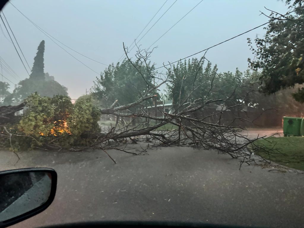 SinTupper's tweet photo. Ramallo
#TNcentral @todonoticias https://t.co/0ZL9E7Ovd4