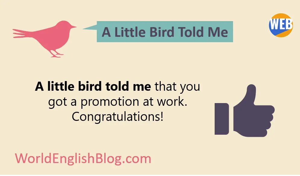 🐦 Idiom of the Day: "A little bird told me..." 😉
💬 Means someone told you something, but you're keeping their identity secret.
📌 "A little bird told me you got a promotion! Congrats!"
31 with examples + a free PDF! 👇 💻 worldenglishblog.com/bird-idioms/
#ESL #LearnEnglish #Idioms