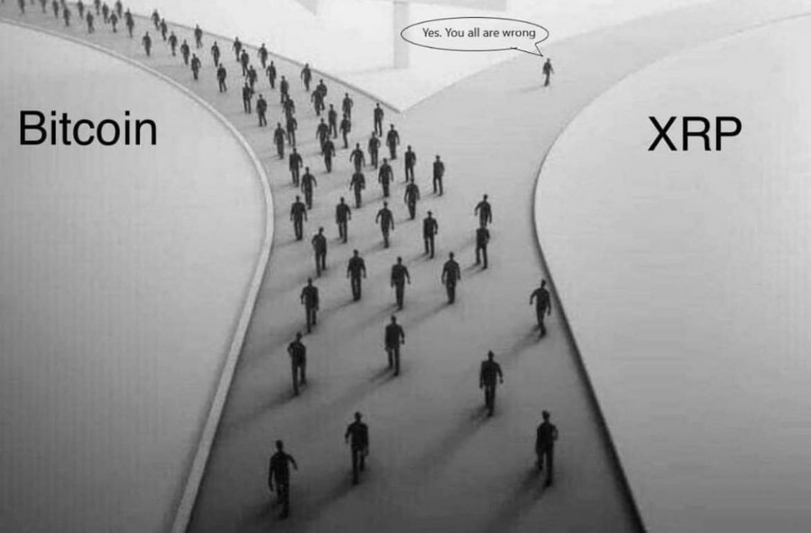 Xrpgeneration's tweet photo. All so true. https://t.co/7jswW1NMMe