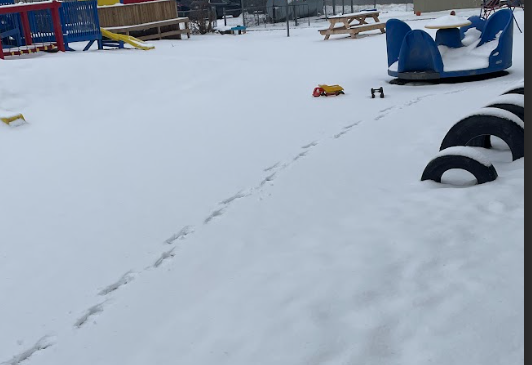 Scavenger hunt adventures
<a href="/JJCurling/">J. J. Curling Elementary</a> for Education week!  Can you find footprints in the snow? <a href="/NLTeachersAssoc/">NLTA</a>  #AdventureInLearningNL, #NLEduWeek2025