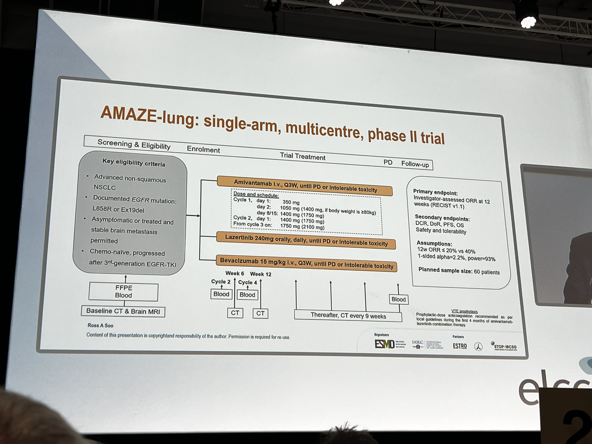 ELCC 2025: Amivantamab, lazertinib and bevacizumab in EGFR