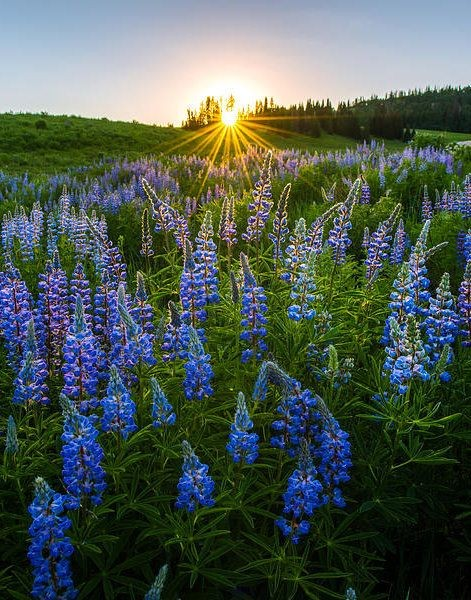 honky_tonk's tweet image. A day will come when the light of Creation reaches the truth sleeping within you.

あなたの内に眠っている真実へ、創造の光の届く日が来ます。
#TheCreation #天地創造 #awakening #覚醒
RP @Yasir54249138