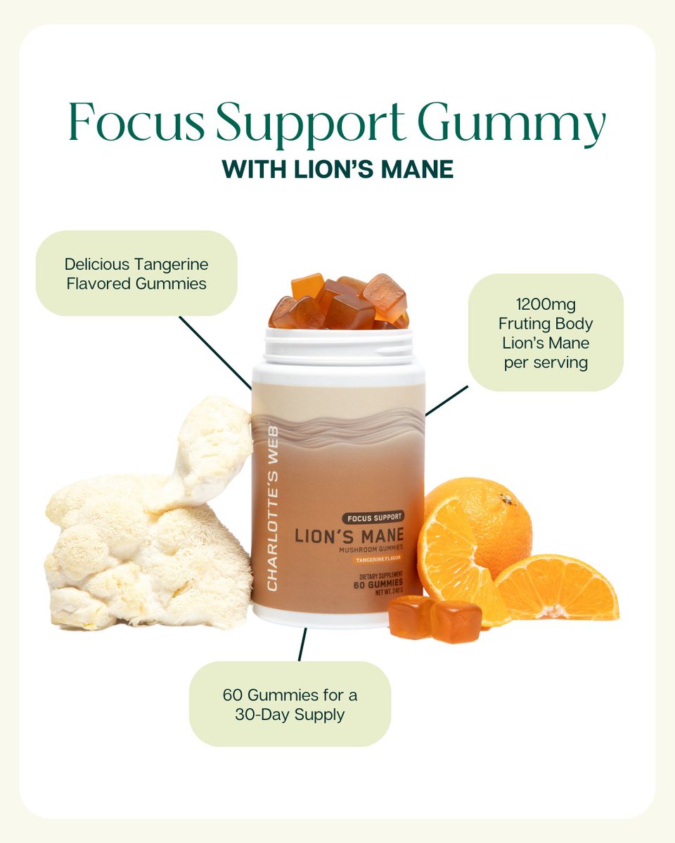 LION'S MANE 🍄‍🟫 With an irresistible tangerine flavor, you won't forget to take your Focus Support Mushroom Gummies every day. Shop now: f.mtr.cool/awawnbldxr
