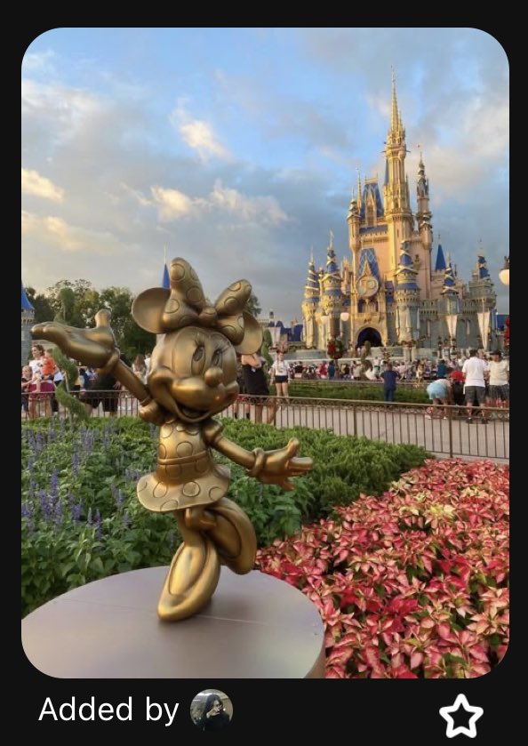 kiwi 🦇 tweet media