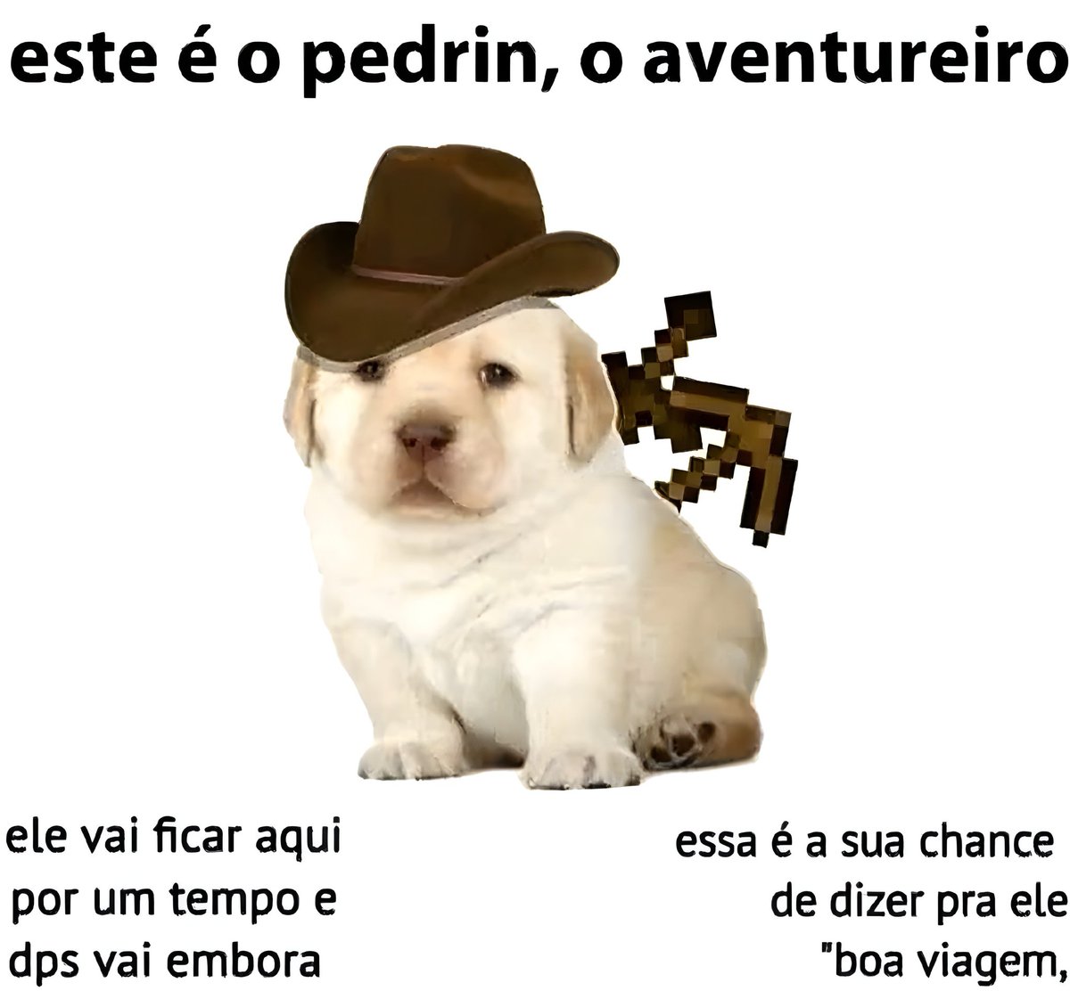 Página Séria. tweet media