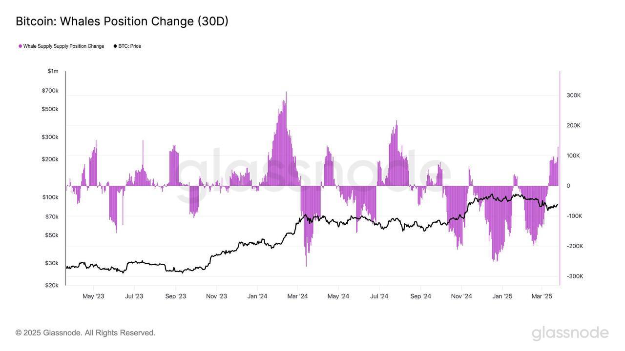 Bitcoin: Whales Position Change (30D)