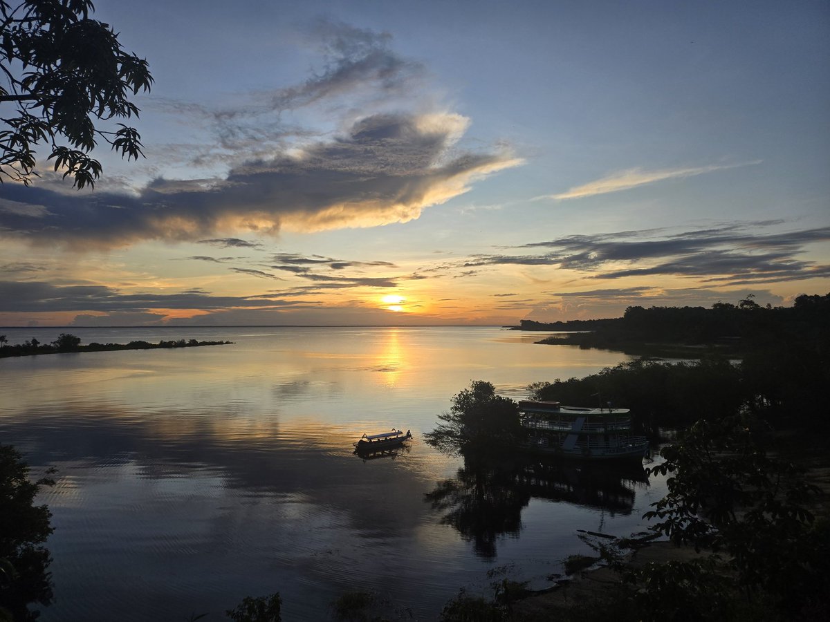 Oboouu's tweet photo. Final day in Amazonia https://t.co/NRBaeY6C0w