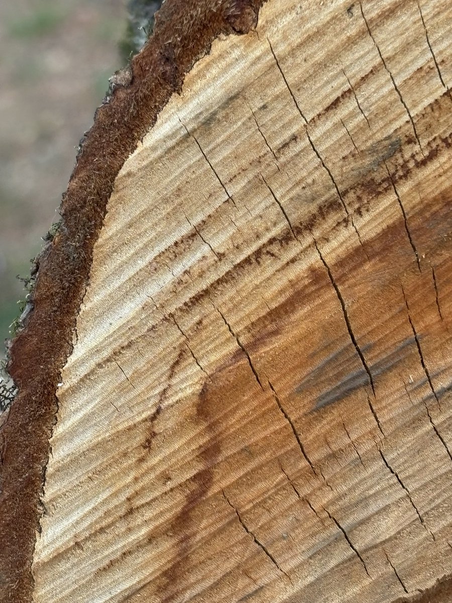 hiroto_s_pt's tweet image. 登録理学療法士を更新する価値が高まりそうな昨今の気配

宮城理学療法士会員が
登録理学療法士を更新しやすくするため

提案

昨年12月の理事会で支援に関する提案をし

1月・2月で揉み

2月の理事会で承認いただきました

宮城県士会の方、公表をお待ち下さい😊

#宮城県理学療法士会