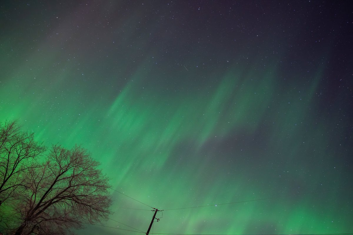 tracygregorash's tweet photo. These were between 12:45AM and 1:09AM CST this morning in Minnedosa, Manitoba on March 27th. (Photos facing north, northeast, above and south) #aurora #substorm @theauroraguy @TamithaSkov @TweetAurora https://t.co/tFb1VnYlkH