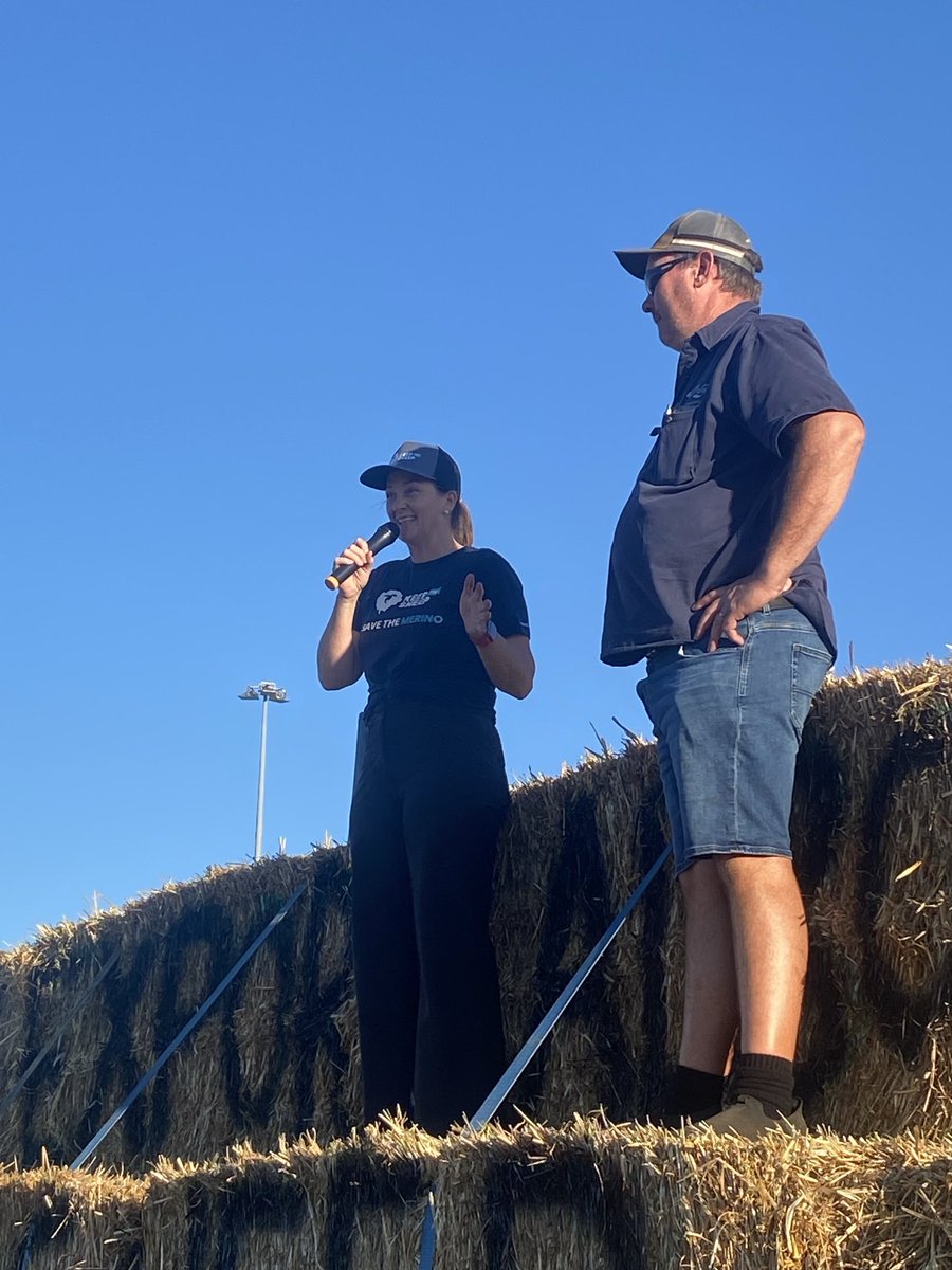 The Queen of #keepthesheep