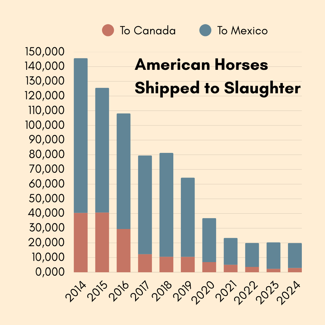 ReturnToFreedom's tweet photo. Click https://t.co/SsMXJETcIz to send a letter to your members of Congress in support of a ban on horse slaughter. #yes2safe #nohorseslaughter https://t.co/9JZiImMyBW