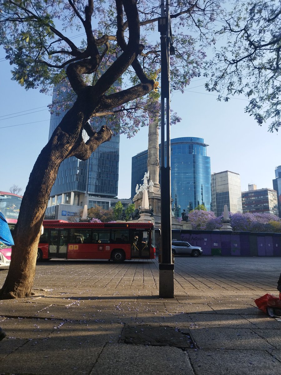 sofiverse tweet media