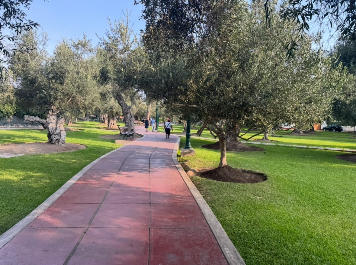 🌮 Steve / Between Bankrolls tweet media