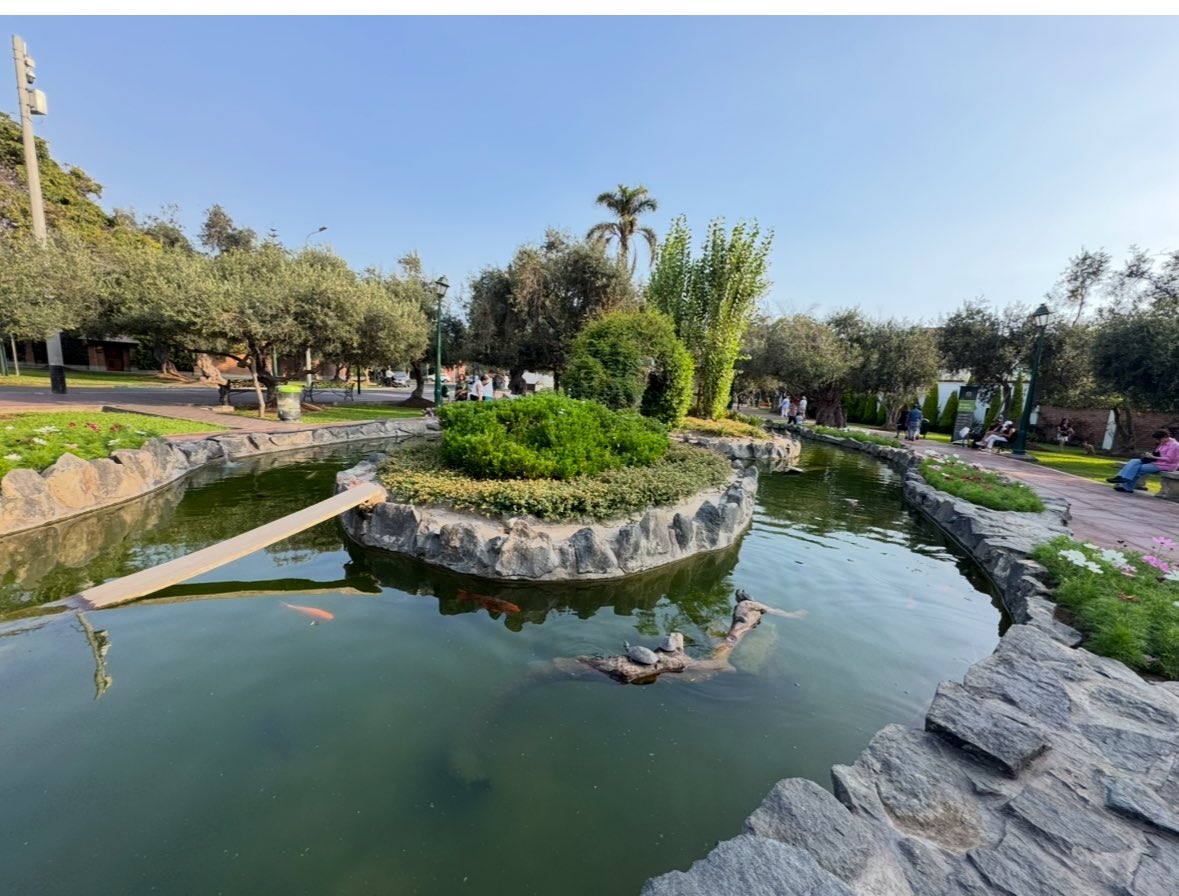 🌮 Steve / Between Bankrolls tweet media