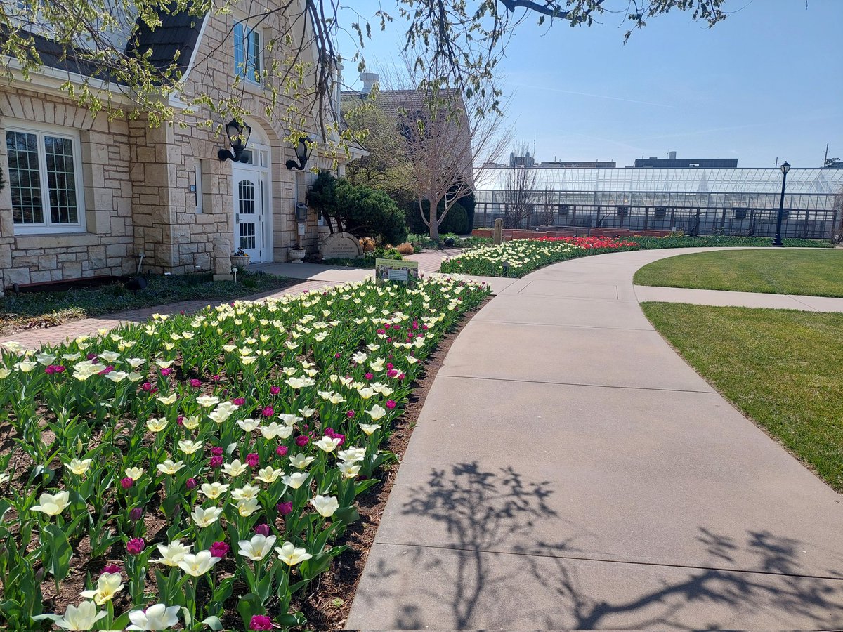 Bulb display beginning at <a href="/kstate_gardens/">K-State Gardens</a>